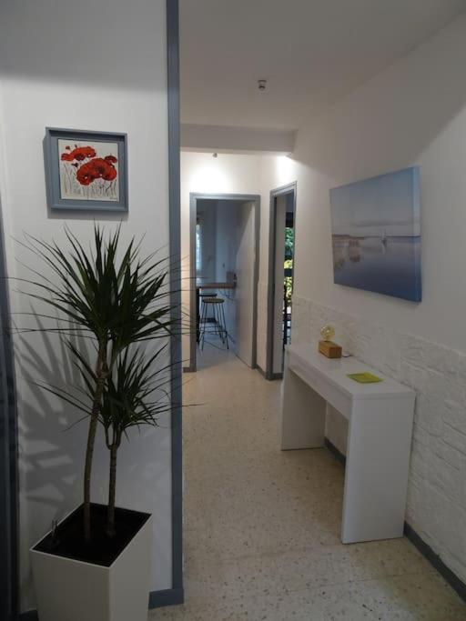 Grande Maison 3 Chambres - Jardin, Terrasse Et Parking - Bord De Mer ตูเรย์ลส์ ภายนอก รูปภาพ